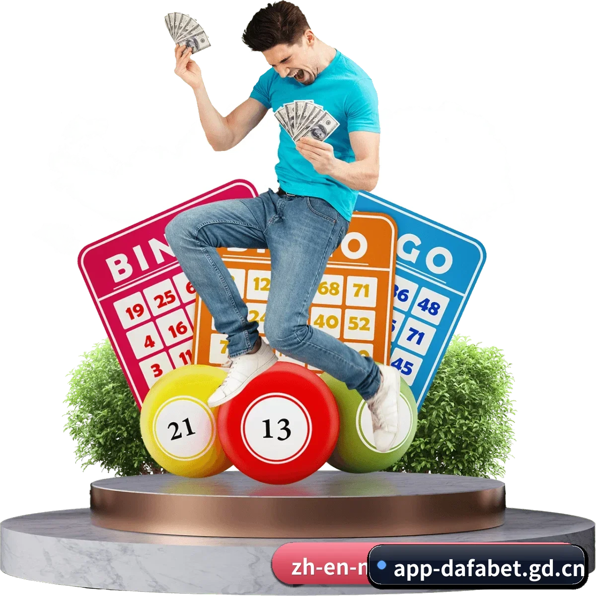 大发官网 APP 界面 - dafa